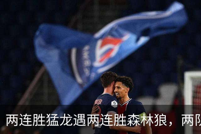 两连胜猛龙遇两连胜森林狼，两队都想保住不败金身